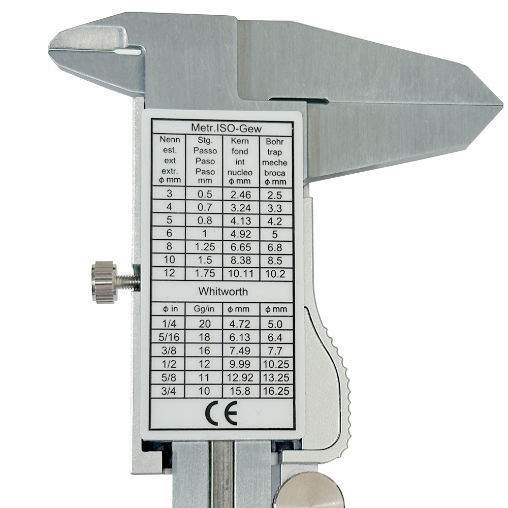 0-150mm Zinklegering Digitale  - Digital Caliper 150Mm Stainless Steel recensie en prijs