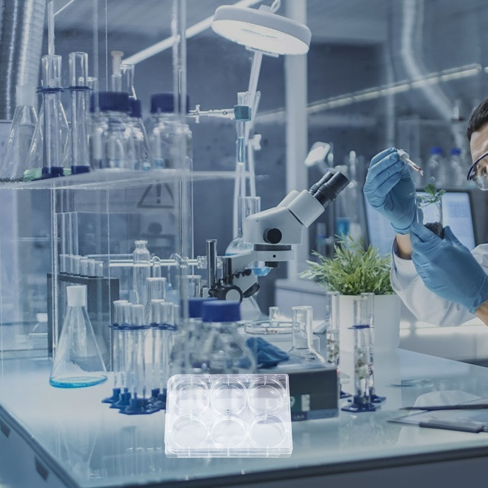 Weefselkweekplaat met 6 putjes - Lab Equipment recensie en prijs
